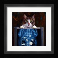 Cat Scan Fine Art Print