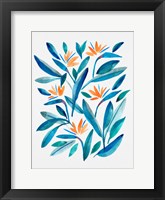 Bird of Paradise Flower 1 Framed Print