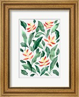 Parakeet Flower Fine Art Print