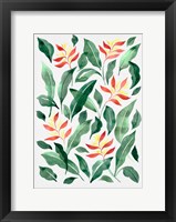 Parakeet Flower Fine Art Print