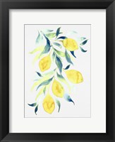 Watercolor Lemons Fine Art Print
