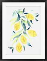Watercolor Lemons Fine Art Print