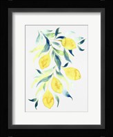 Watercolor Lemons Fine Art Print