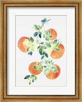 Watercolor Oranges Fine Art Print