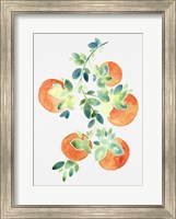 Watercolor Oranges Fine Art Print