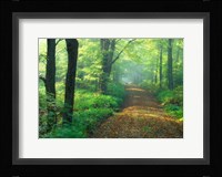 First Light Fine Art Print