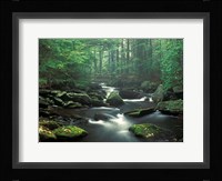 Sawmill River Fine Art Print