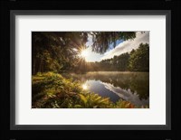 Sunstars Fine Art Print