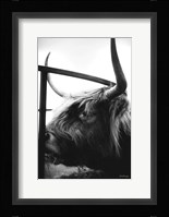 Dinner Time Fine Art Print