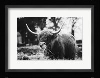 Midday Meal Fine Art Print