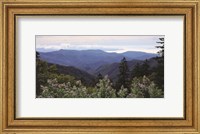 Scenic Mountain View Fine Art Print