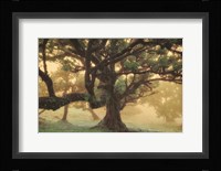 Tree Dreams Fine Art Print