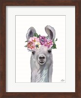 Little Llama Fine Art Print