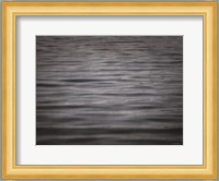 Lake Swimming Fine Art Print