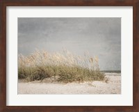 Vintage Beach Grass I Fine Art Print