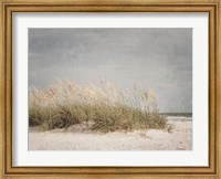 Vintage Beach Grass I Fine Art Print