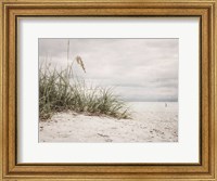 Vintage Beach Grass II Fine Art Print