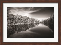 Glassy Creek Fine Art Print