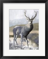 Elk in the Wild Fine Art Print