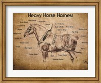 Heavy Horse Harness Fine Art Print