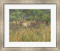 Field Cows Fine Art Print