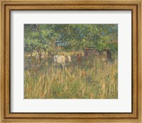 Field Cows Fine Art Print