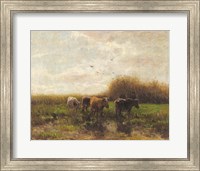 Cows at Sunset Fine Art Print
