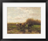 Cows at Sunset Fine Art Print