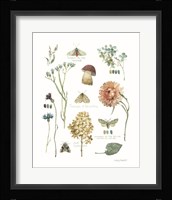 Season's Study IV Framed Print