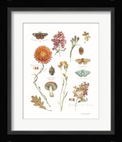 Season's Study V Framed Print