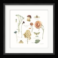 Season's Study VI Framed Print