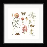 Season's Study VIII Framed Print