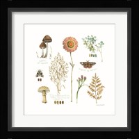 Season's Study IX Framed Print