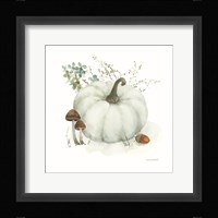 Season's Study XIII Framed Print