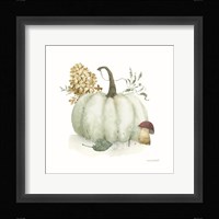 Season's Study XIV Framed Print