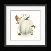 Season's Study XV Framed Print