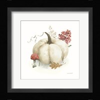 Season's Study XVI Framed Print