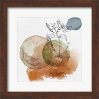 Flower and Watercolor Circles I Fine Art Print