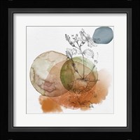 Flower and Watercolor Circles I Fine Art Print