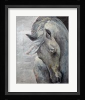 Shy Grey No Tear Fine Art Print