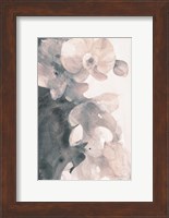 Orchid Splendor II Blush Fine Art Print