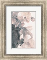 Orchid Splendor II Blush Fine Art Print