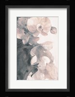 Orchid Splendor II Blush Fine Art Print