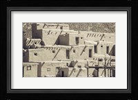 Summer Shadows Fine Art Print