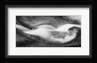 Heart Flow Fine Art Print