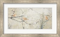 Budding Pussy Willow with Birds Fine Art Print