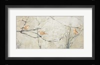 Budding Pussy Willow with Birds Framed Print