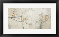 Budding Pussy Willow with Birds Framed Print