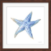 Undersea Starfish Fine Art Print