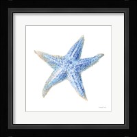 Undersea Starfish Fine Art Print